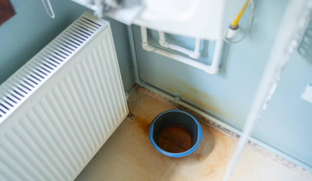 Best Mold removal after water damage  in Concord, VA